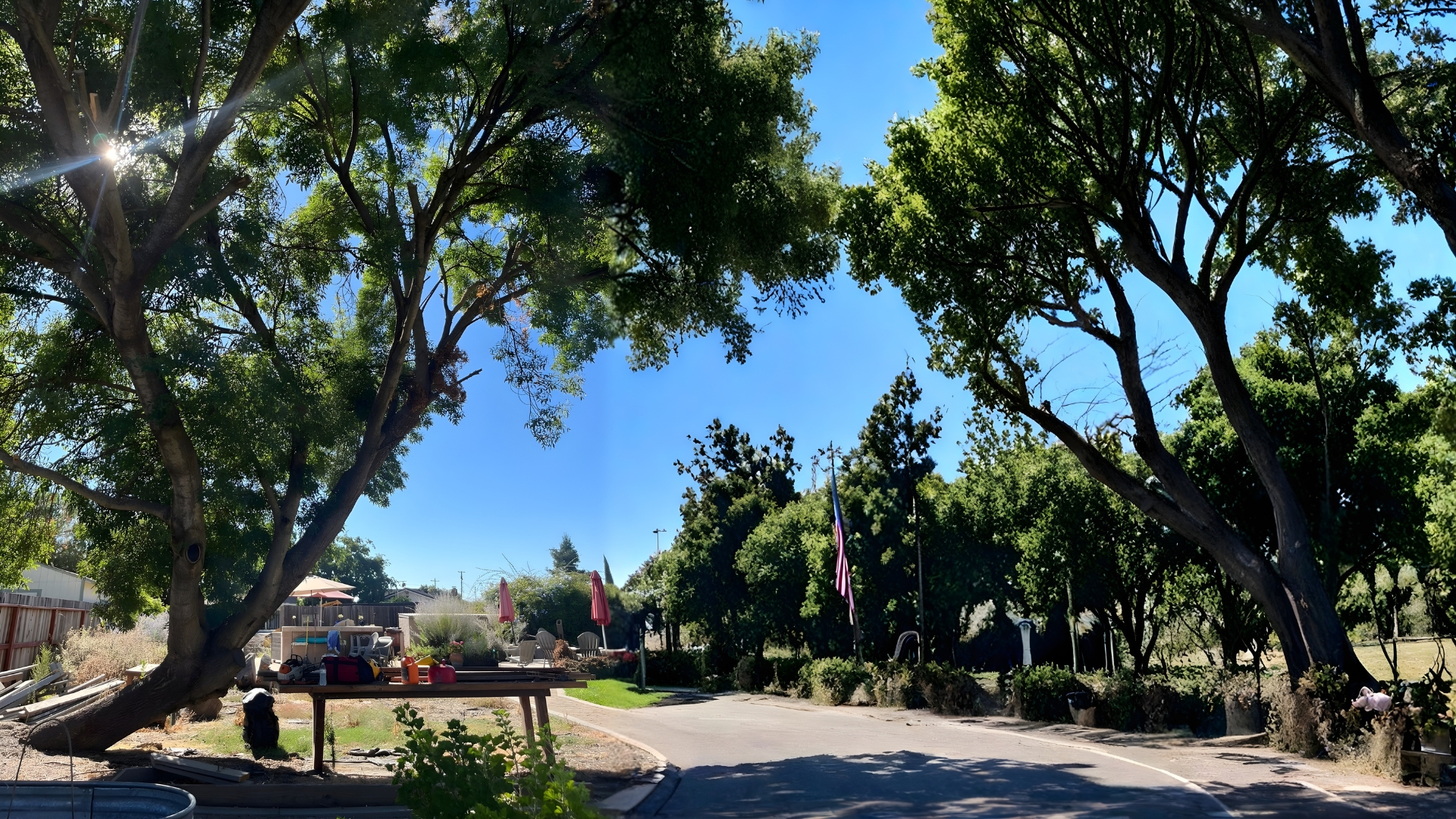 Tree services