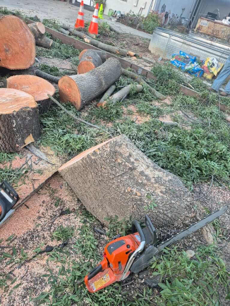 Tree services