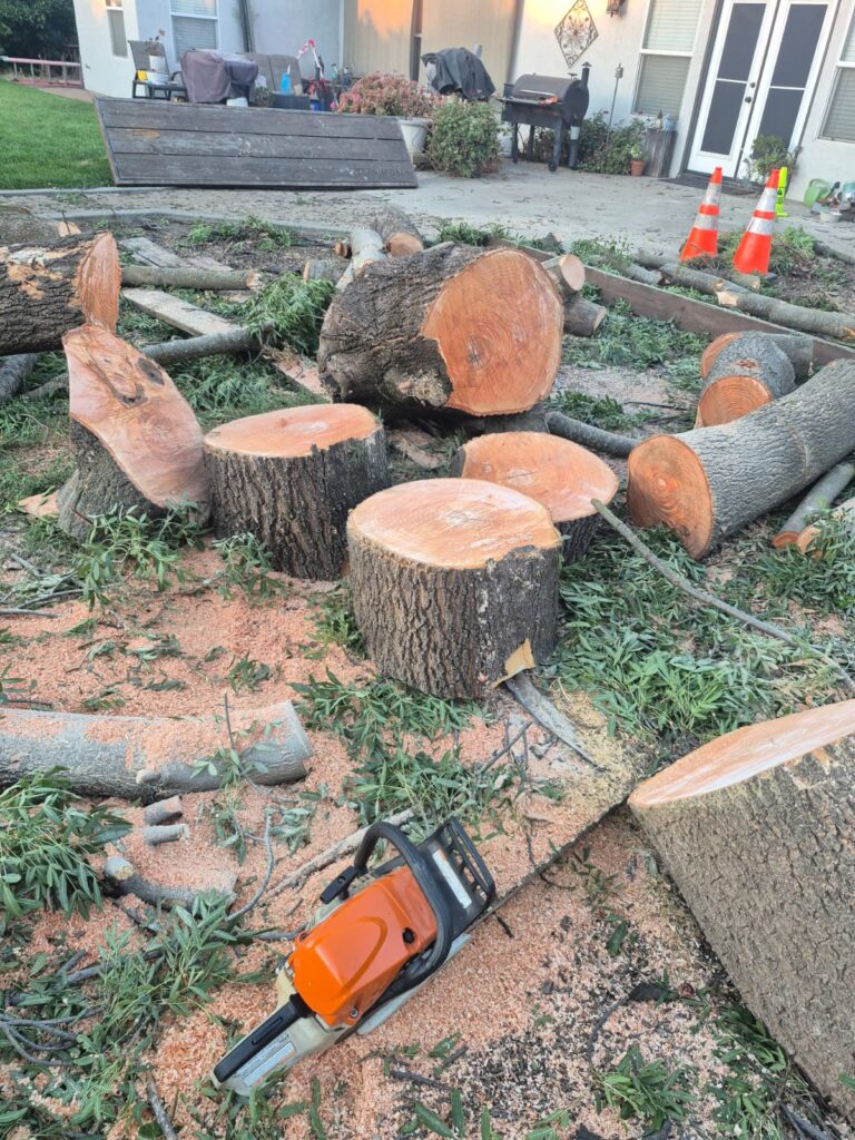 Tree services