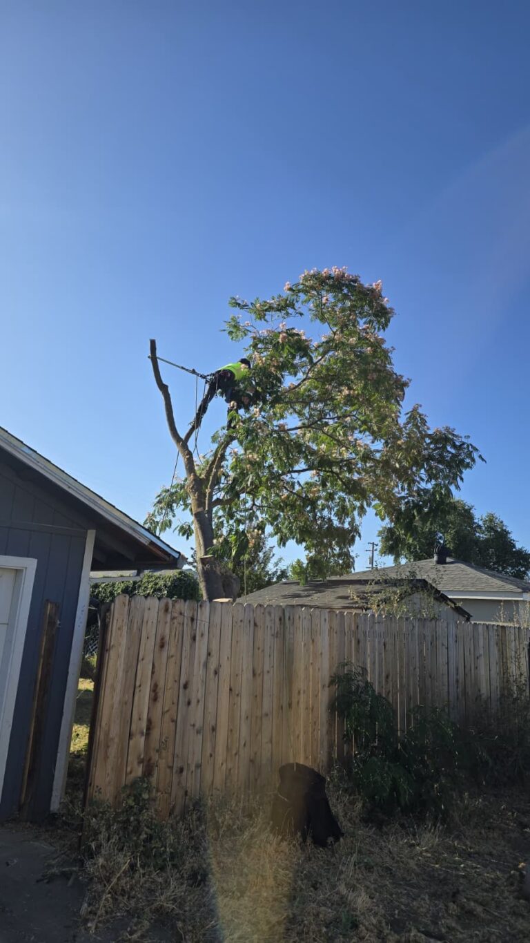 Tree services